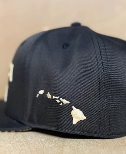 Aloha Aina 3D Puff Snapback Tan on Black