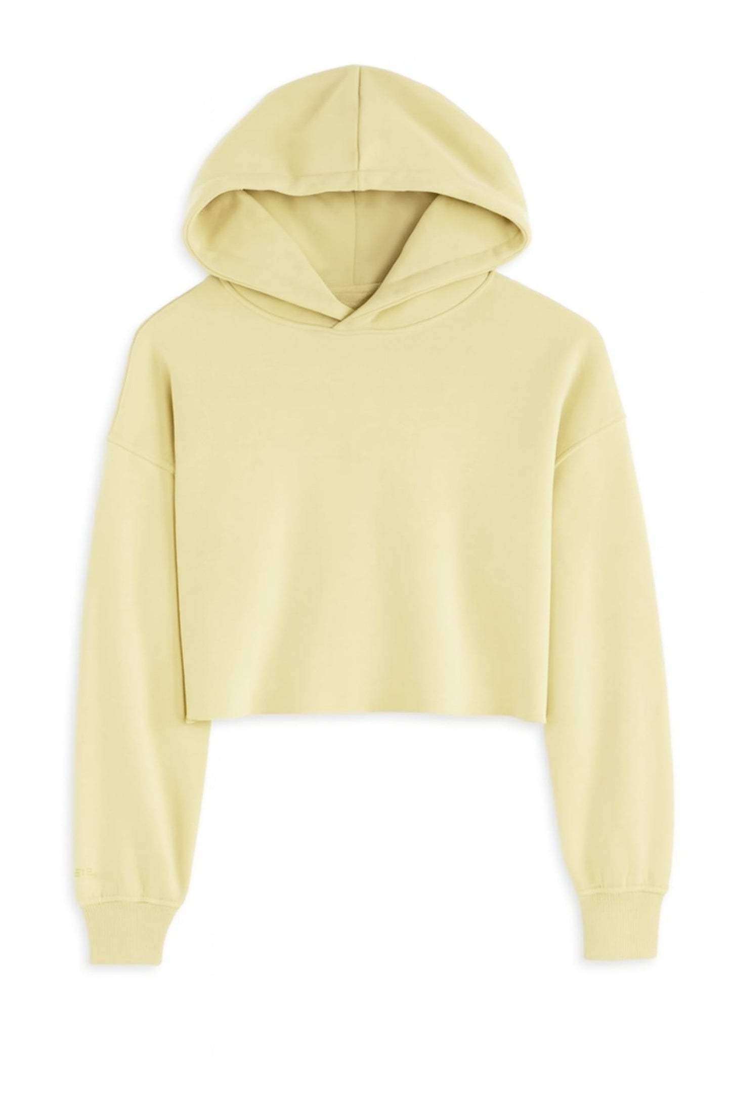 TWEEN DYLAN CROPPED HOODIE - FINAL SALE