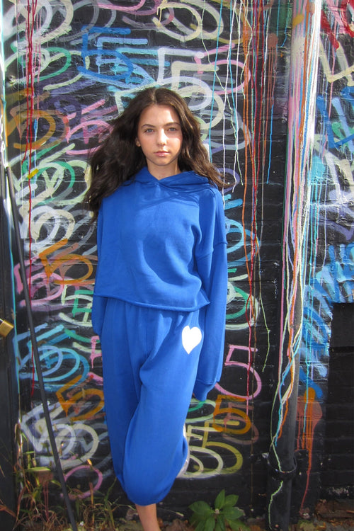 JUNIOR SHANE CROPPED HOODIE - FINAL SALE